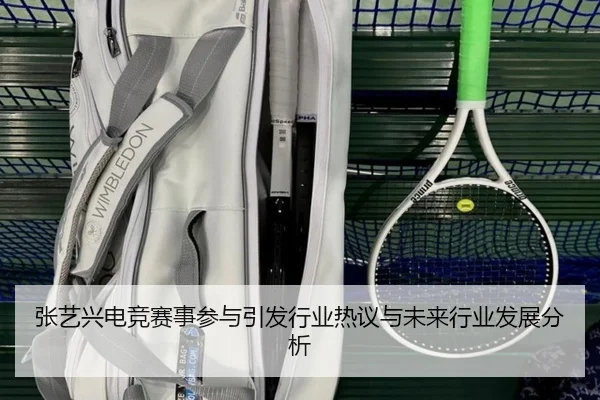 zhang-yi-xing-dian-jing-sai-shi-can-yu-yin-fa-hang-ye-re-yi-yu-wei-lai-hang-ye-fa-zhan-fen-xi-2-249.jpg