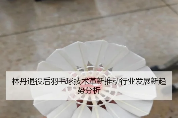 林丹退役后羽毛球技术革新推动行业发展新趋势分析